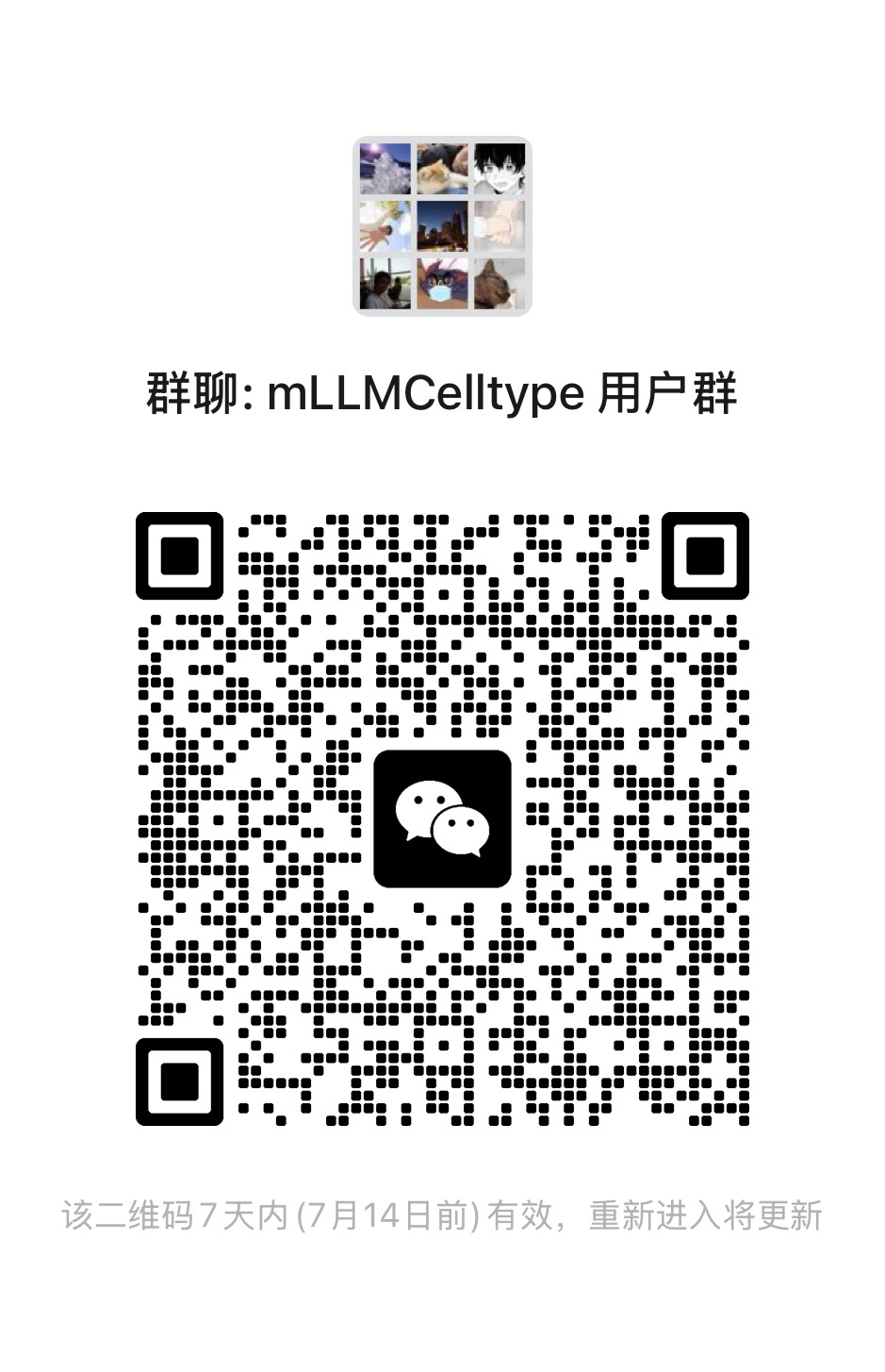 WeChat Group QR Code